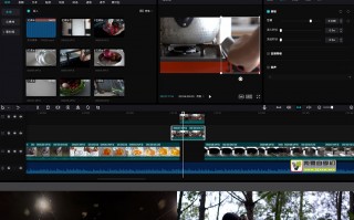 aq短视频制作教学 广东人注意！用AQ拍张照就能知道蚊子“毒不毒”