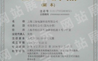 上海电脑科技有限公司 南京赛安信息技术有限公司与上海远图电脑科技有限公司被大唐集团无限期取消采购活动参与资格