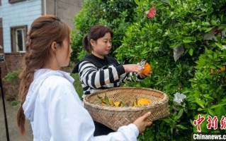 小雅制作短视频方法 老挝媳妇小雅在四川：融入“川味”生活，短视频为乡村“带货”